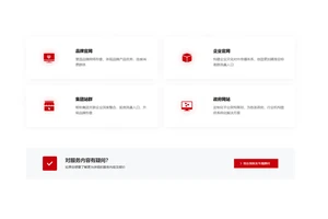 品牌官网建设